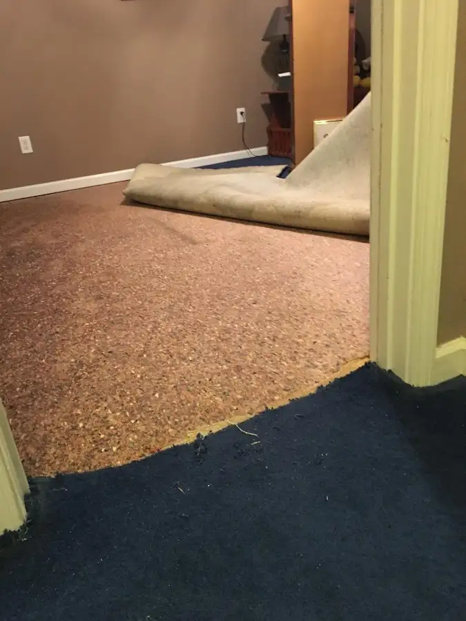 Carpet pad removal revealing water damage during Water Mitigation Services in Stewartville