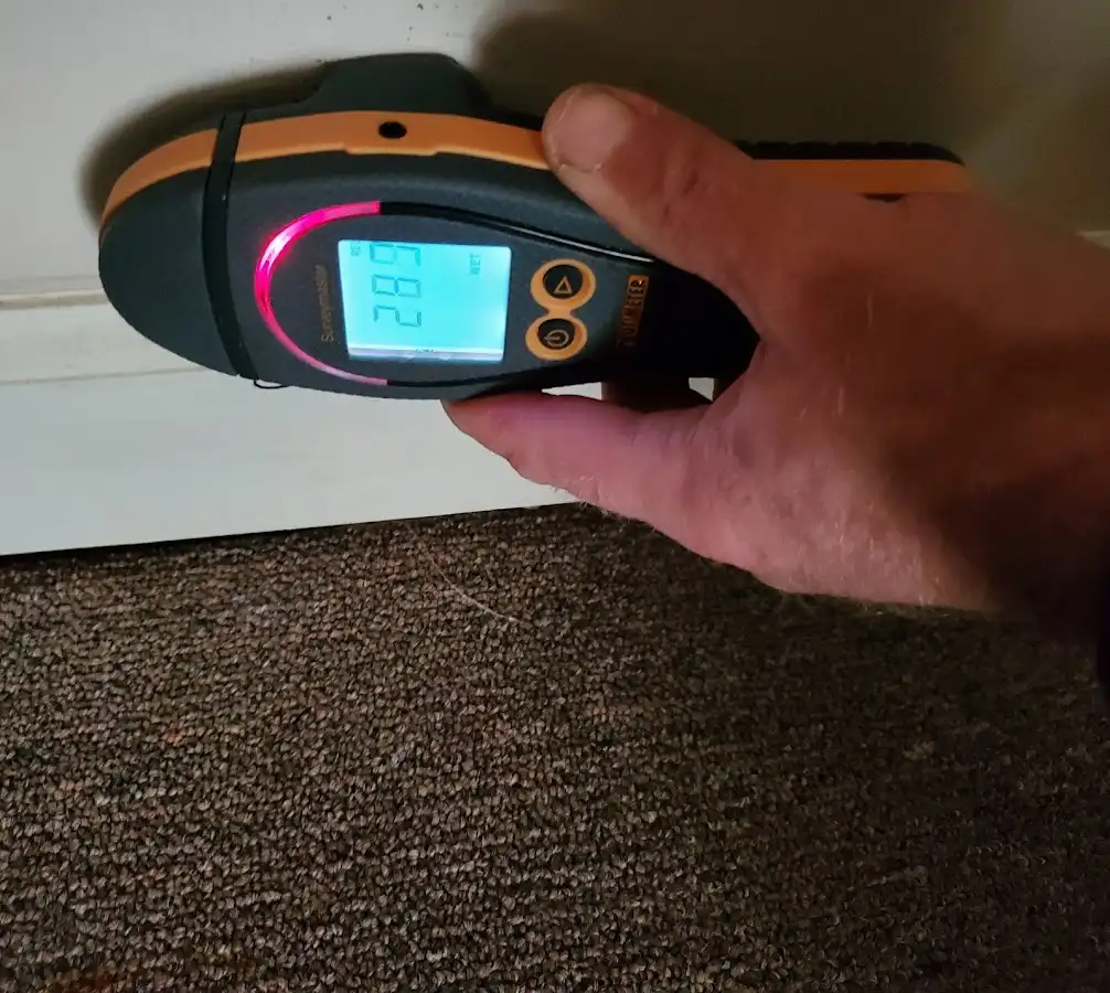 Moisture detection at baseboard during Sewage Cleanup & Sanitation in Stewartville
